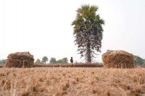 Landscape of Jharkhand